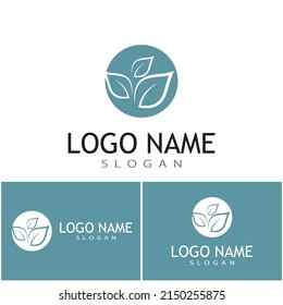Mint leaves flat vector color icon template illustration design