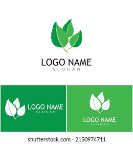 Mint deja un diseño de ilustración de icono de color de vector plano