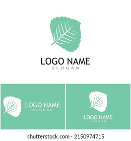 Minze hinterlässt flache Vektorfarbsymbol-Vorlagengrafik-Design