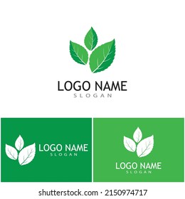 Mint leaves flat vector color icon template illustration design