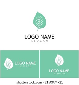 Mint leaves flat vector color icon template illustration design
