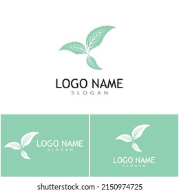 Mint leaves flat vector color icon template illustration design