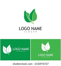 Mint deja un diseño de ilustración de icono de color de vector plano