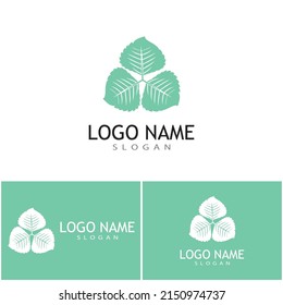Mint leaves flat vector color icon template illustration design
