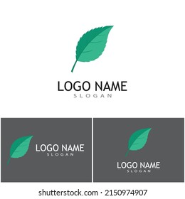 Mint leaves flat vector color icon template illustration design