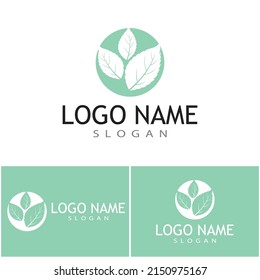 Mint leaves flat vector color icon template illustration design