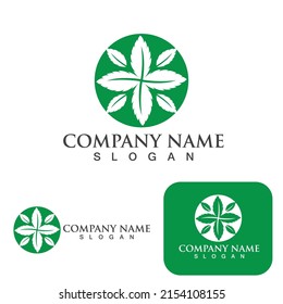 Mint leaves flat vector color icon template