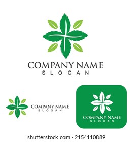 Mint leaves flat vector color icon template