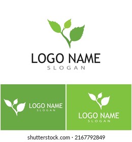 Mint deja un diseño de ilustración de icono de color de vector plano