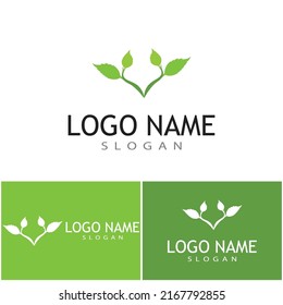 Mint deja un diseño de ilustración de icono de color de vector plano
