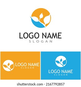 Mint deja un diseño de ilustración de icono de color de vector plano