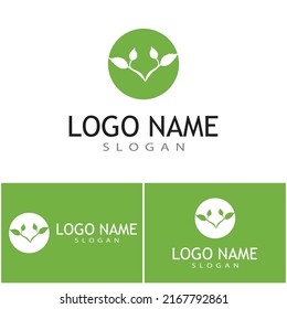 Mint deja un diseño de ilustración de icono de color de vector plano
