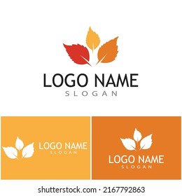 Mint leaves flat vector color icon template illustration design
