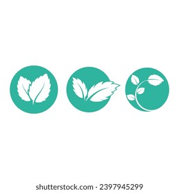 Mint leaves flat vector color icon template illustration design