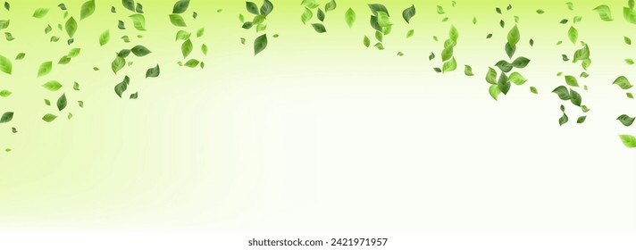 Minze hinterlässt Fliegenvektor-grüner Hintergrund-Konzept. Vorlage für Frühjahrsfolien. Sumpfgrün Sturzplakat. Leaf-Blur-Pflanze.