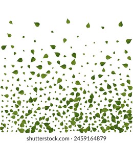 Mint Leaves Fly Vector White Background Concept. Falling Greens Branch. Green Leaf Tea Border. Foliage Organic Brochure.