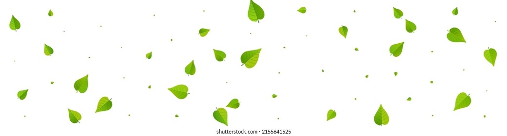 Mint Leaves Forest Vector Panoramic White Background Design. Nature Leaf Wallpaper. Olive Foliage Wind Plant. Greens Blur Concept.