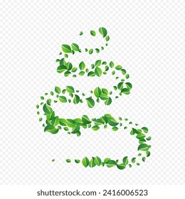 Mint Leaves Forest Vector Transparent Background. Tree Foliage Plant. Forest Greens Falling Brochure. Leaf Fresh Illustration.