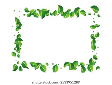 Mint Leaves Forest Vector White Background. Blur Foliage Illustration. Olive Greens Nature Pattern. Leaf Organic Plant.