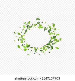 Mint Leaves Fresh Vector Transparent Background Concept. Spring Greenery Wallpaper. Green Foliage Nature Design. Leaf Forest Border.