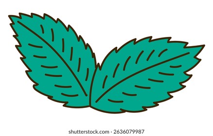 Mint leaves hand drawn illustration, isolated vector. Line art style design. Summer clip art, seasonal element, print. Cocktail garnish, beach bar, pool party. Aromatic herb, cooking, baking