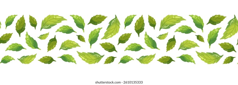 Mint leaves horizontal seamless pattern isolated on white background, tea leaf for long banner, eco package, spring summer fabric fresh print, balm health pharmacy, botanical design, ecology wrapping