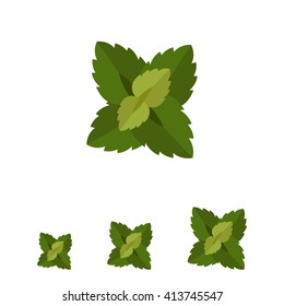 Mint leaves icon