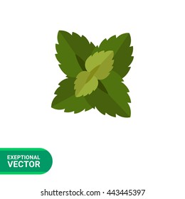 Mint leaves icon