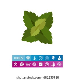 Mint leaves icon