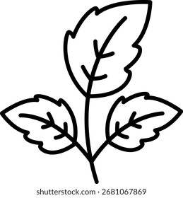 Mint Leaves Icon: Herb, Tea, and Flavoring