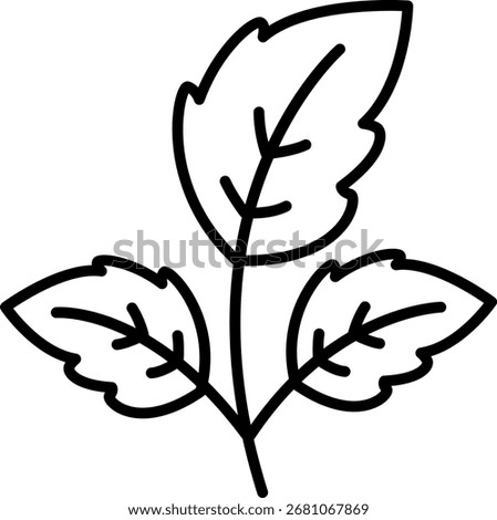 Mint Leaves Icon: Herb, Tea, and Flavoring