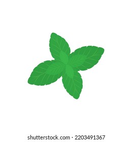 Mint leaves icon logo template vector illustration