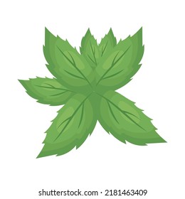 mint leaves icon on white background