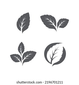 Mint leaves icon pack. Leaf vector illustration. Set of Green mint leaves ecology nature element vector icon, Leaf Icon pack, mint leaves logo vector illustration