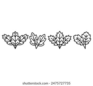 mint leaves icons symbol vector design simple line black white color flat illustration collection sets 