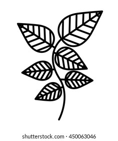 Mint leaves isolated icon design, vector illustration  graphic 