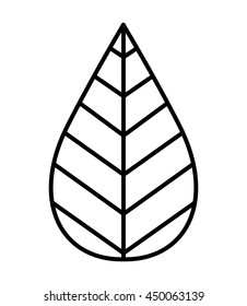 Mint leaves isolated icon design, vector illustration  graphic 
