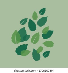 Mint leaves isolated on pale green background. Flat vector illustration