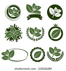 Mint leaves label set. Vector