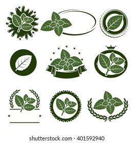 Mint leaves label set. Vector