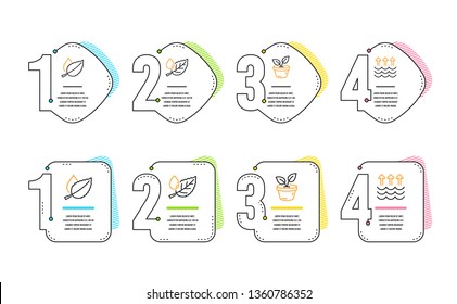Mint leaves, Leaves and Leaf dew icons simple set. Evaporation sign. Mentha herbal, Grow plant, Water drop. Global warming. Nature set. Infographic timeline. Line mint leaves icon. 4 options or steps