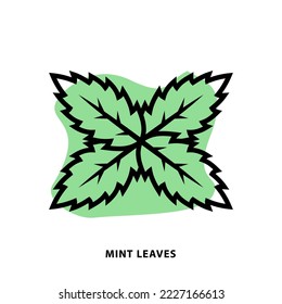 Mint Leaves linear icon design for application or web design template. Vector Mint line icon with blot shape background.