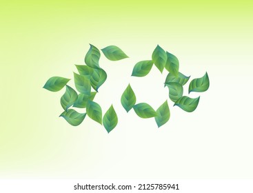Mint Leaves Motion Vector Green Background Plant. Swirl Foliage Brochure. Swamp Leaf Organic Wallpaper. Greenery Nature Border.