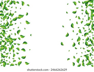 Mint Leaves Motion Vector White Background. Ecology Leaf Pattern. Swamp Foliage Fly Backdrop. Greens Herbal Banner.