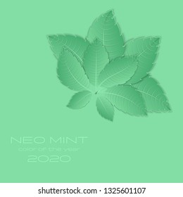Mint leaves on neo-mint background. Neo Mint color of the Year 2020 inscription. Vector illustration. Graphic design element.