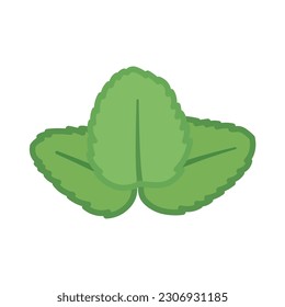 Mint leaves on white background