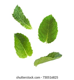 Mint leaves on a white background