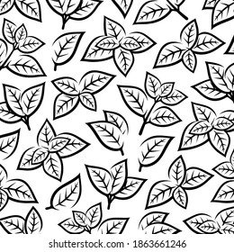 Mint leaves pattern background. Collection mint leaves icons. Vector