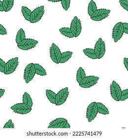 Mint leaves pattern. Hand-drawing doodle style.