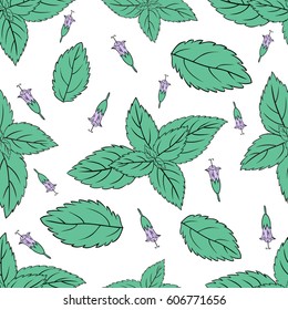 Mint leaves, peppermint buds isolated on white background, Hand drawn vector seamless patterns, spicy herbs, kitchen texture, Doodle cooking ingredient for design package tea, wallpaper, cosmetics